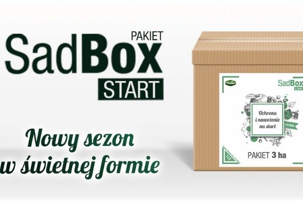 SadBox Start na dobry początek sezonu wegetacyjnego